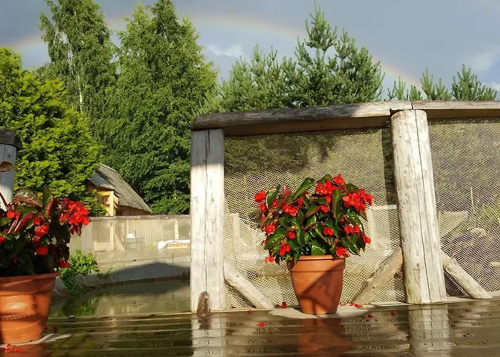 Ouna Puhketalu Jogeva