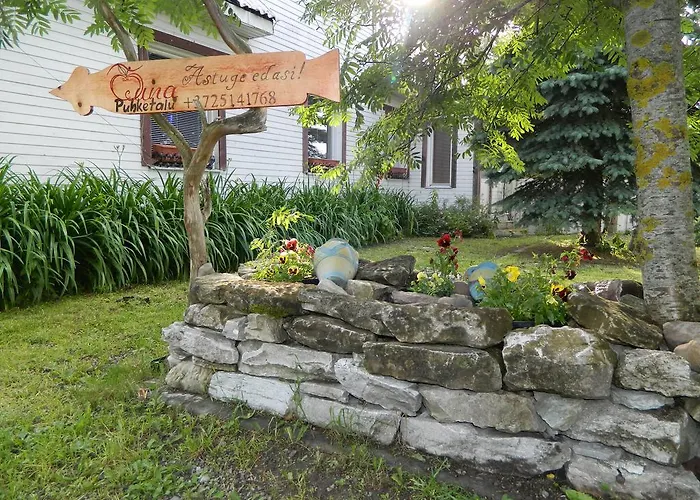 Farm stay Ouna Puhketalu